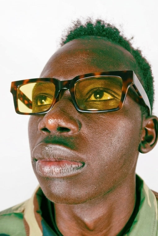 BROWN TURTLE FRAME 43