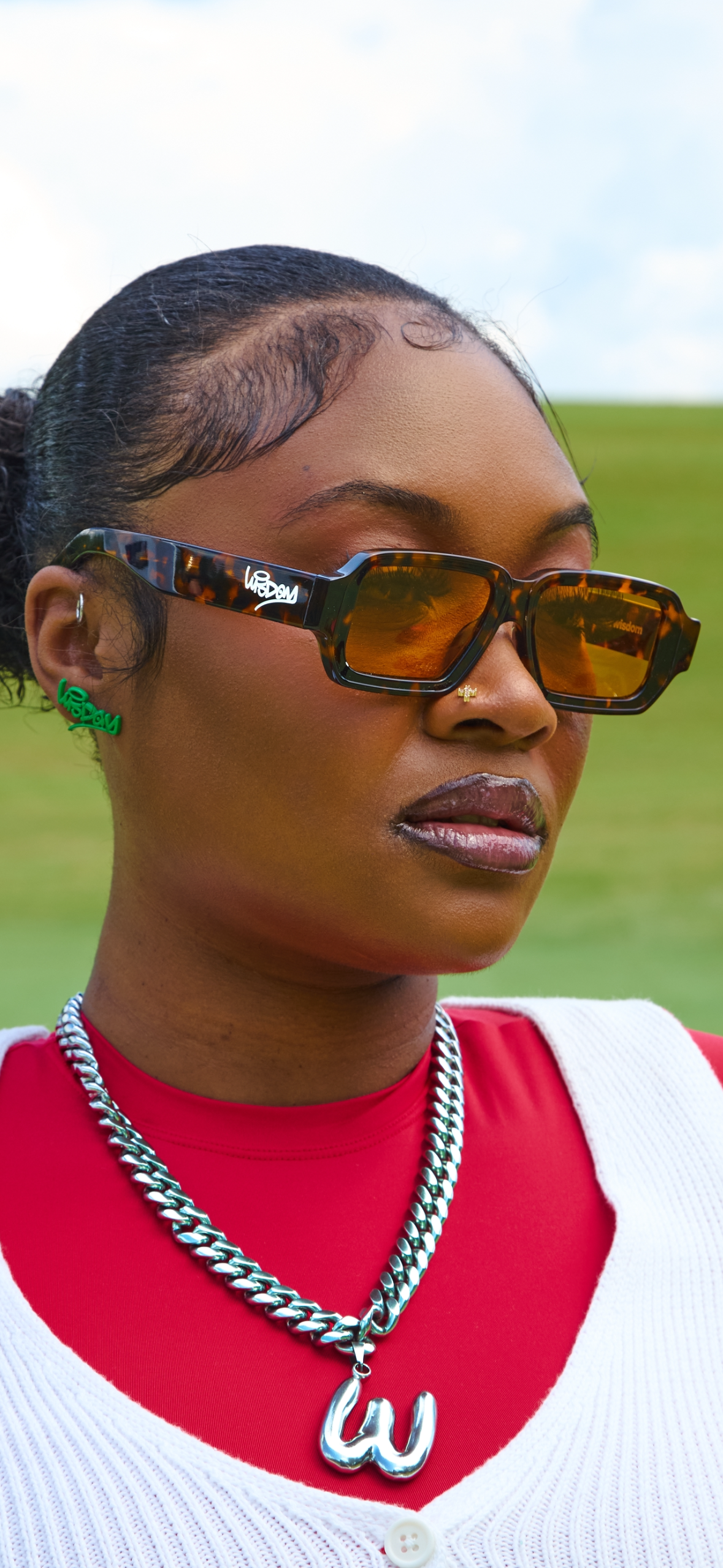 LOW BRIM TIGER FRAMES