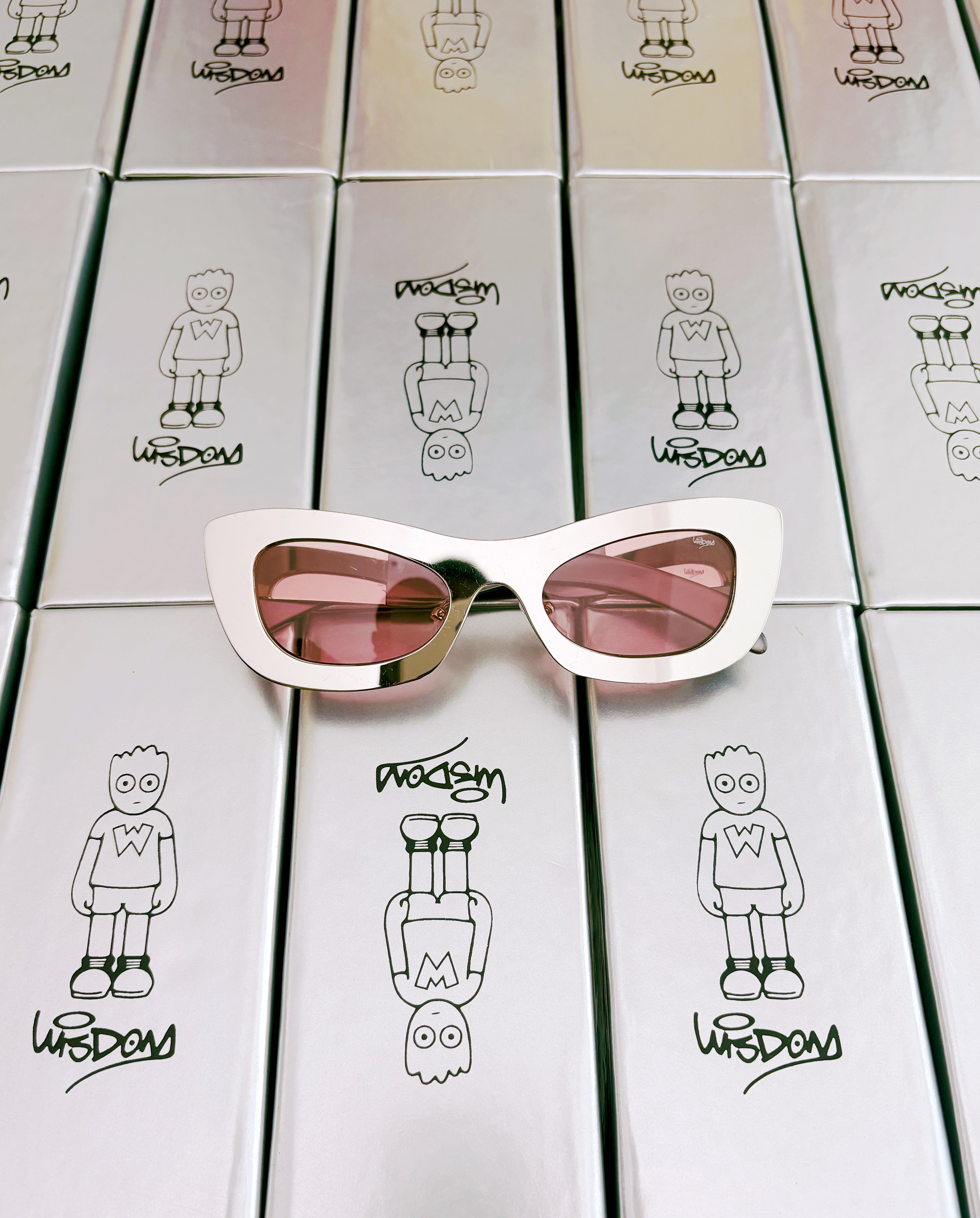 CHROME WISDOM FRAMES