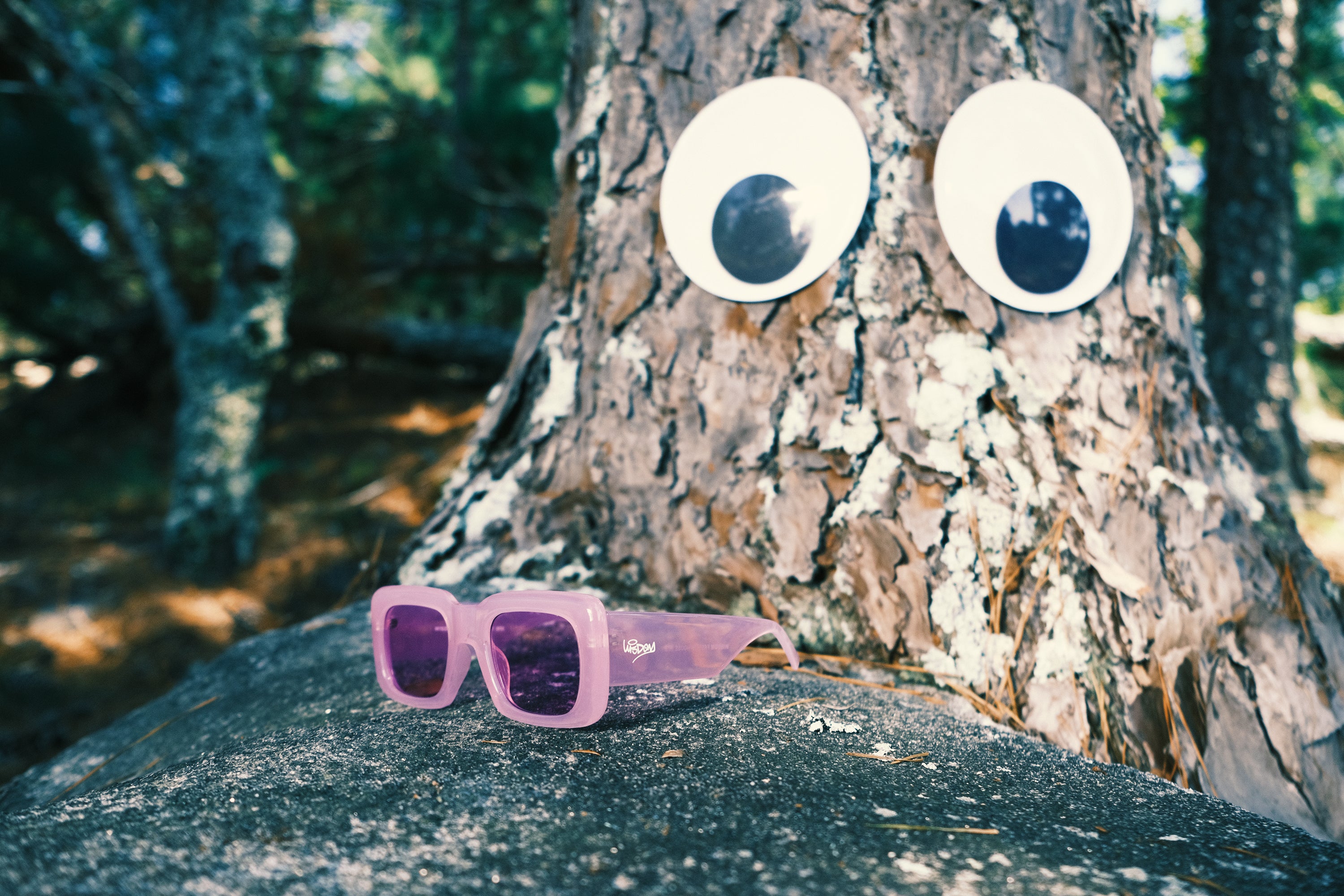 VIOLET FRAMES