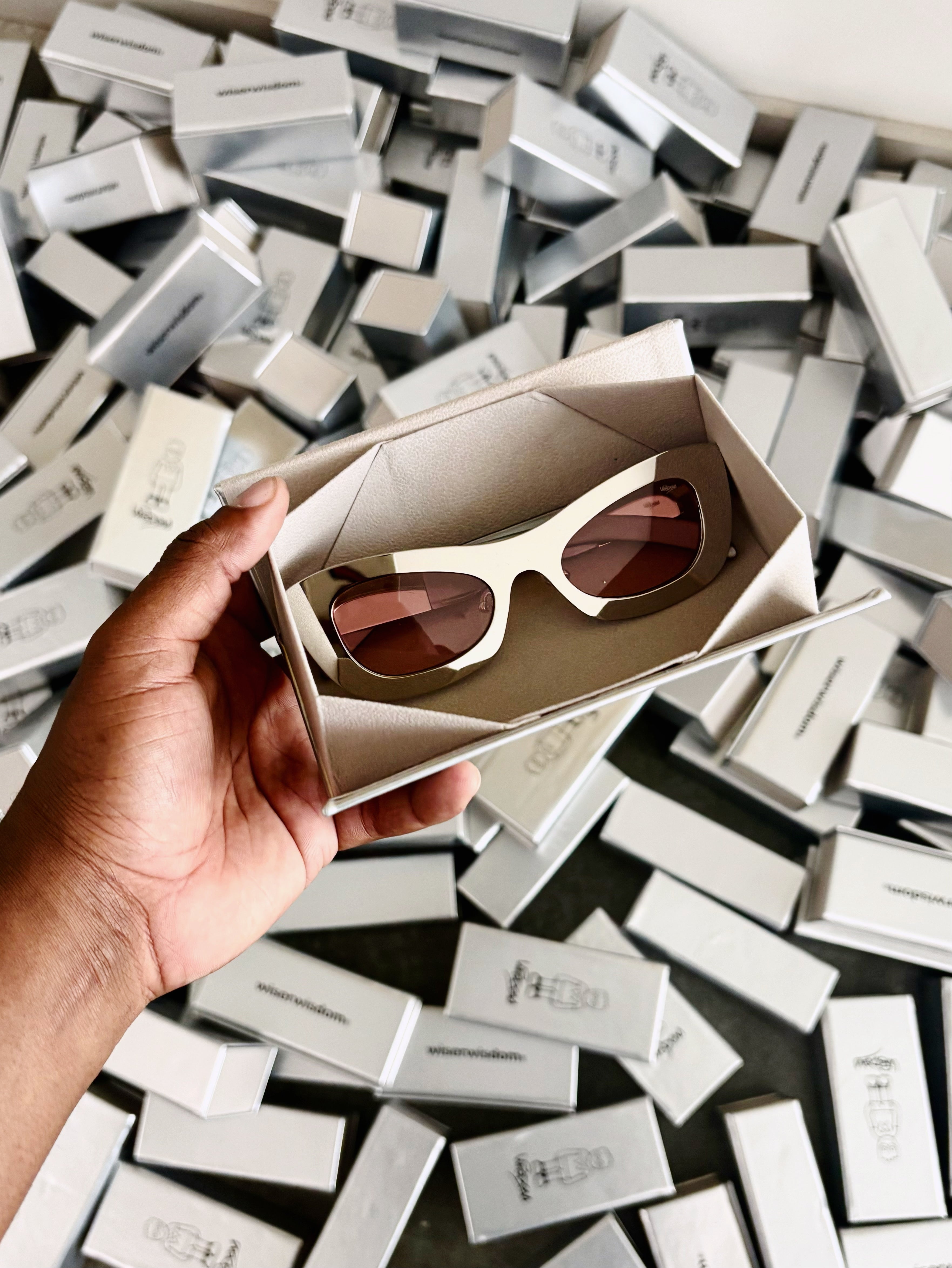 CHROME WISDOM FRAMES