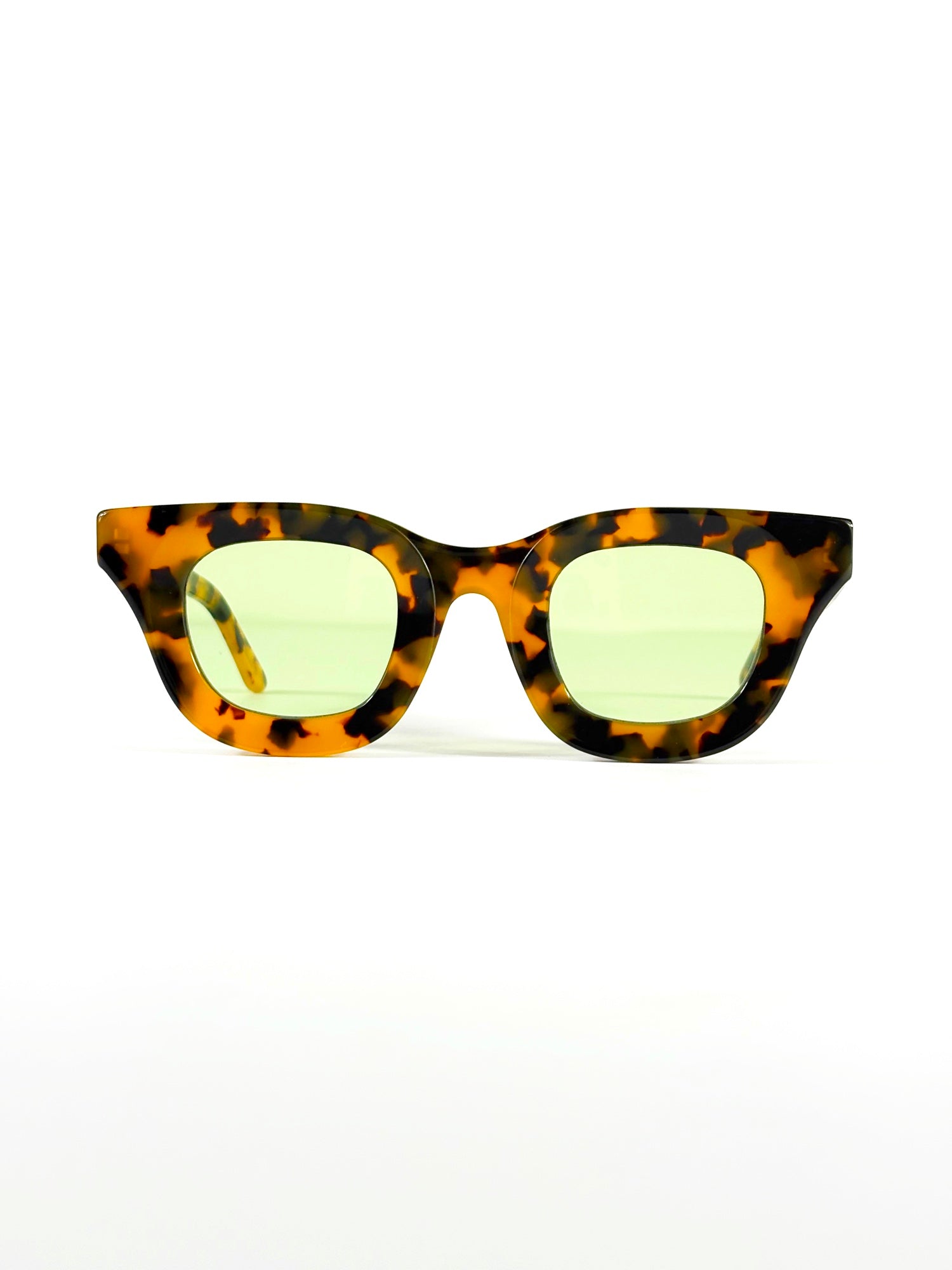 TURTLE FRAME 3